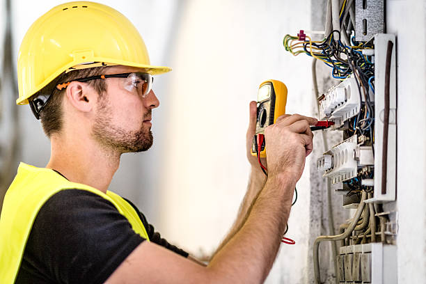 Best Electrical Panel Upgrades  in South Lyon, MI